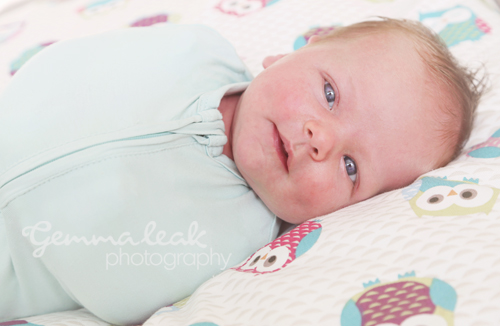 Ruby looking happy and content in her cosy pod